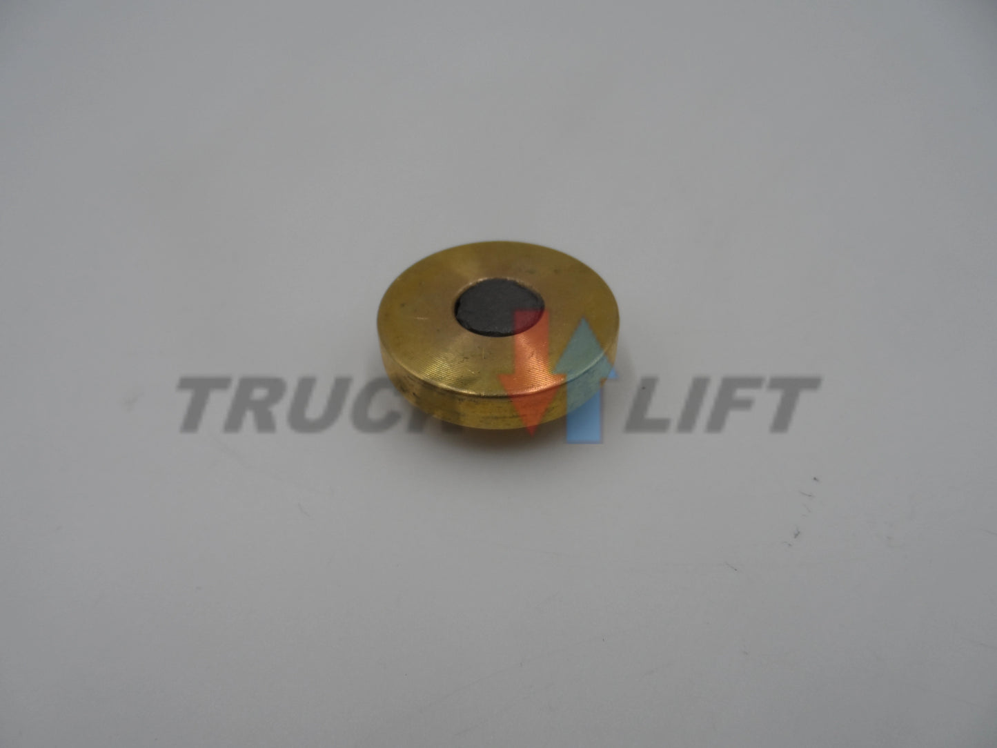 Ślizg wysuwu 30x6mm Palfinger HF578A