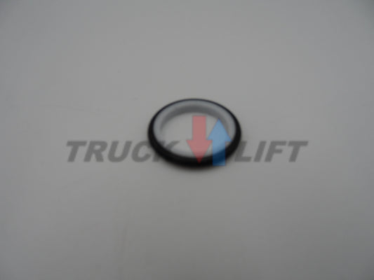 Uszczelnienie suwaka Palfinger ED076 (Nordhydraulic)