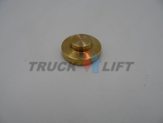 Ślizg wysuwu 30x6mm Palfinger HF578A