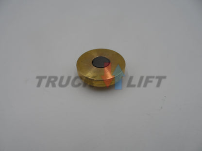 Ślizg wysuwu 30x6mm Palfinger HF578A